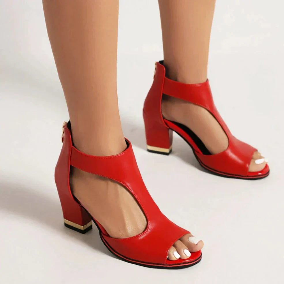 Dames Elegante Hakken | Plateau